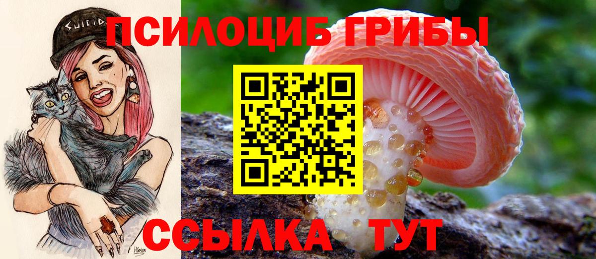 Псилоцибиновые грибы прущие грибы  Галлюциногенные грибы GOLDEN TEACHER  Кулебаки  Вход с VPN 
